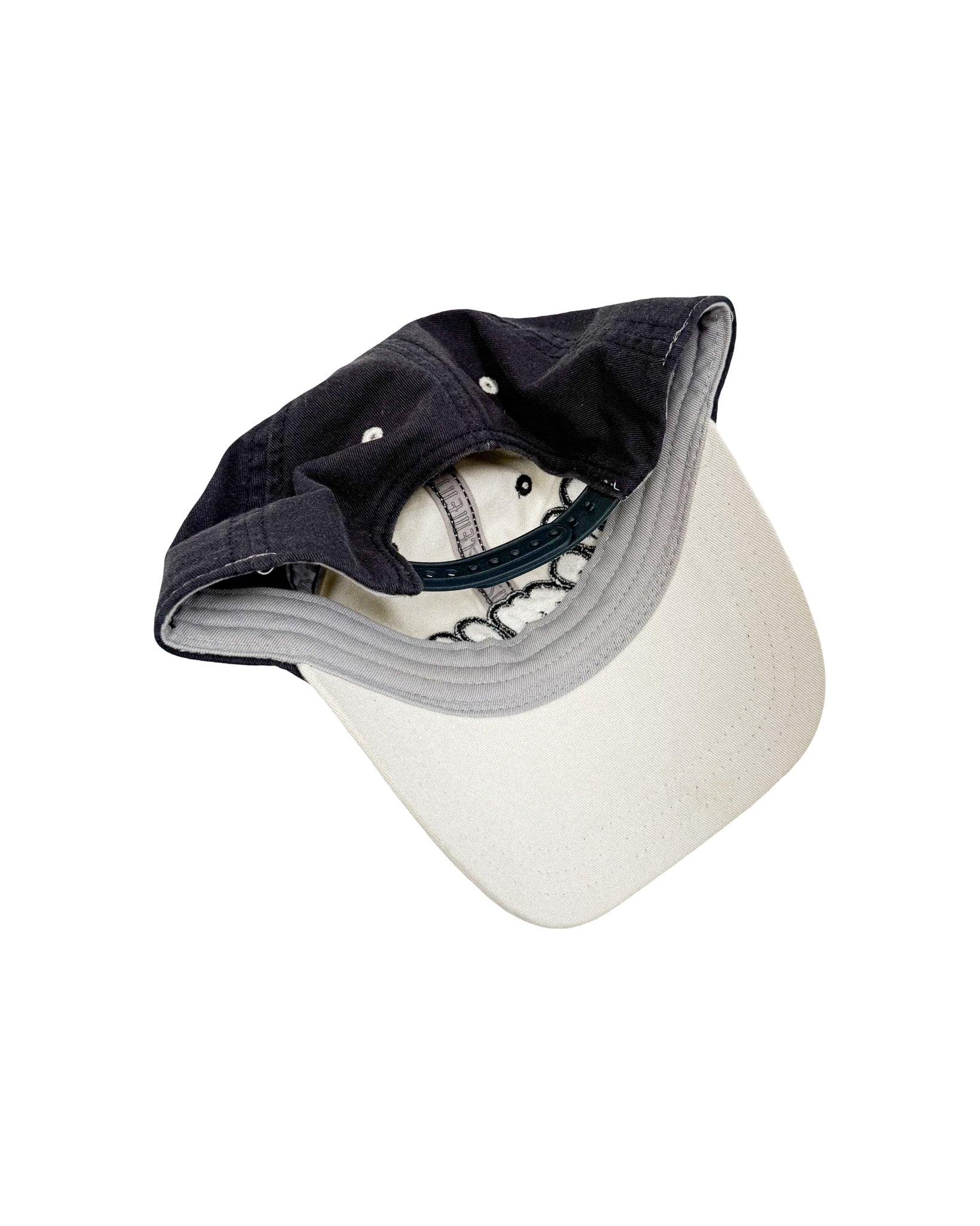 2000'S ELEMENT TWO TONE HAT